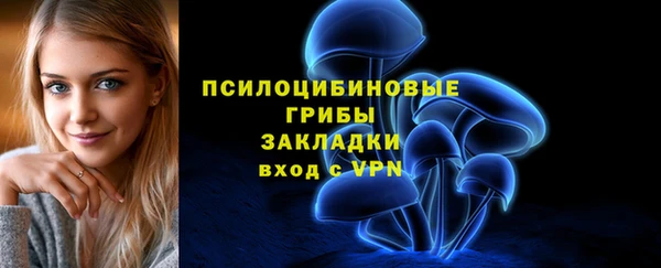 прущий лед Кулебаки