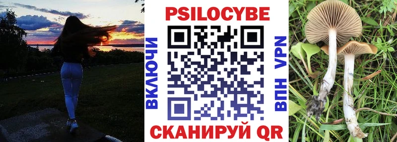 Псилоцибиновые грибы GOLDEN TEACHER  Купить где  Льгов 